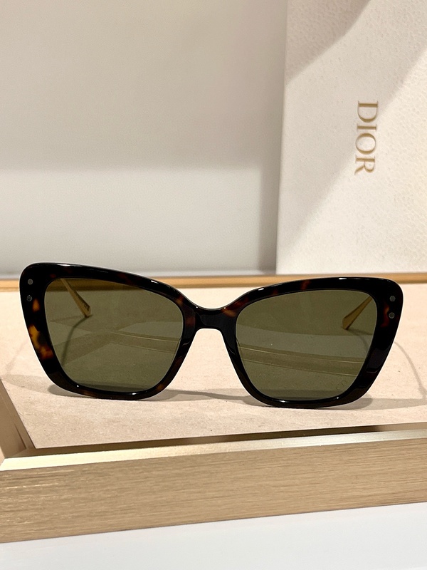 DIOR Sunglasses 13